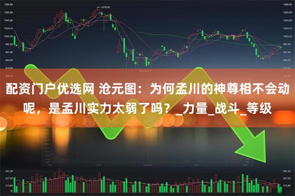 配资门户优选网 沧元图：为何孟川的神尊相不会动呢，是孟川实力太弱了吗？_力量_战斗_等级