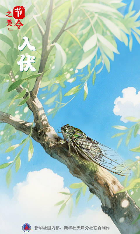 炒股炒股配资 连续10年都是40天的纪录被终结！今年“三伏”30天！