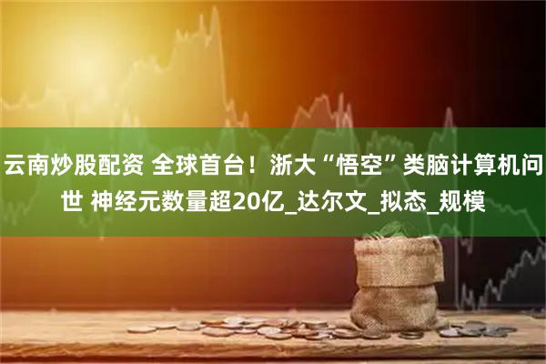 云南炒股配资 全球首台！浙大“悟空”类脑计算机问世 神经元数量超20亿_达尔文_拟态_规模
